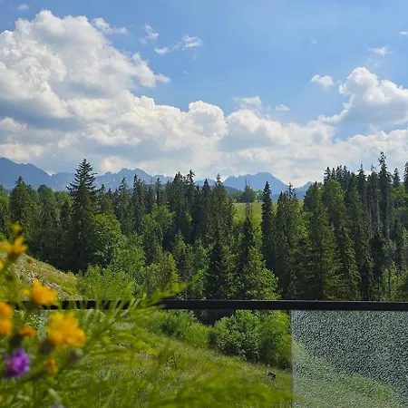 Villa Bukowka Tatra View Zakopane