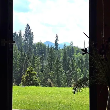 Bukowka Tatra View * Zakopane