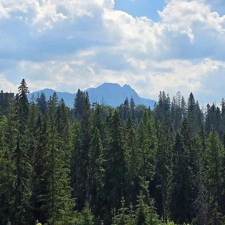 Bukowka Tatra View *