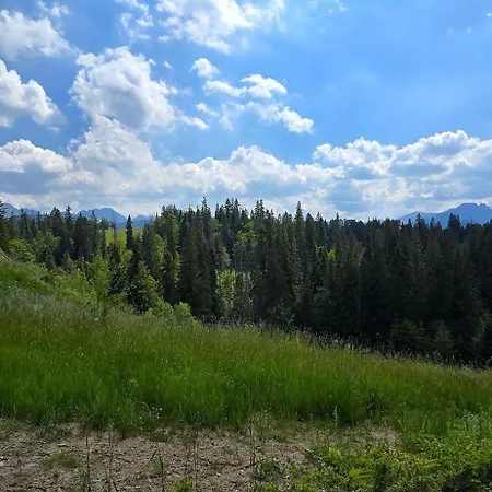 Bukowka Tatra View